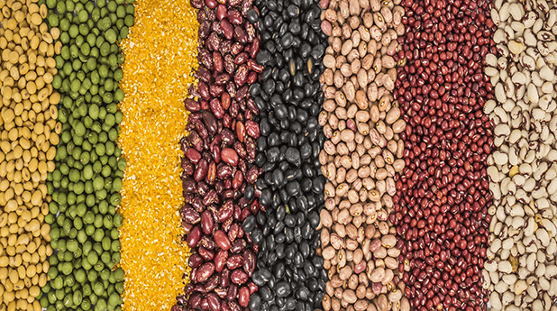 GrainCorp Ltd (GNC): Goodnight, tonight, goodbye