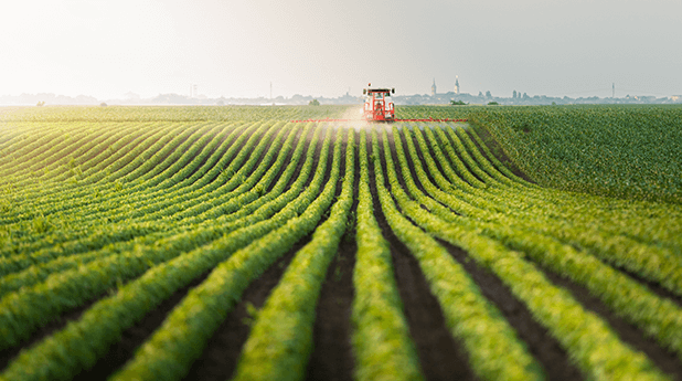 Nufarm Ltd (NUF): Multiverse