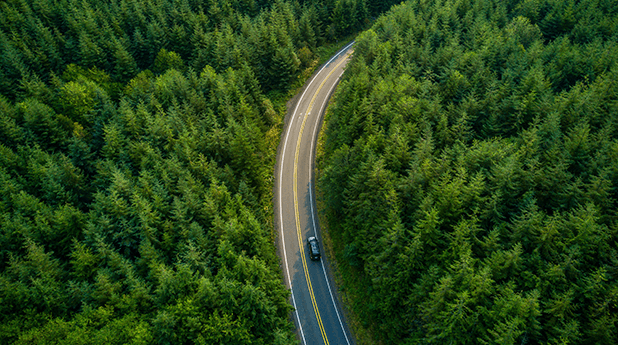Analyst Outlook for 2021
