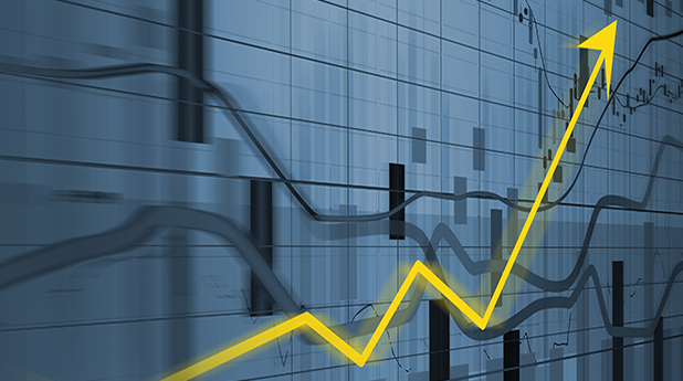 The Champion Stocks