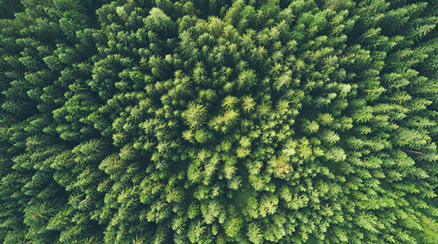 Bell Potter ETF Report – March 2021