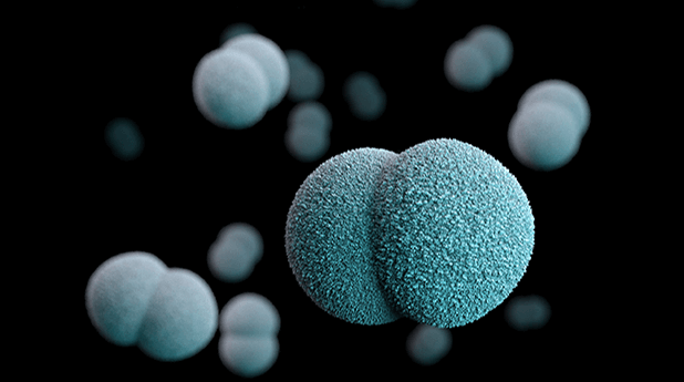 Coronavirus Analysis & Outlook – 11 September